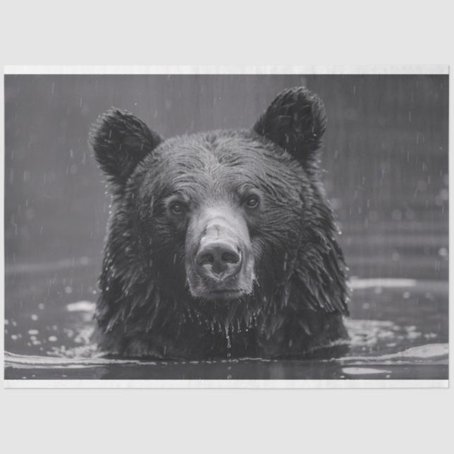 Papier Mousseline Découpage noir et blanc de l'ours mignon (Recto)