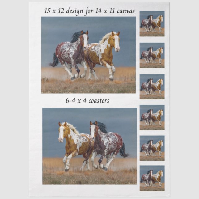 Papier Mousseline Decoupage Painted Horses Running 11x14 Canvas (Recto)