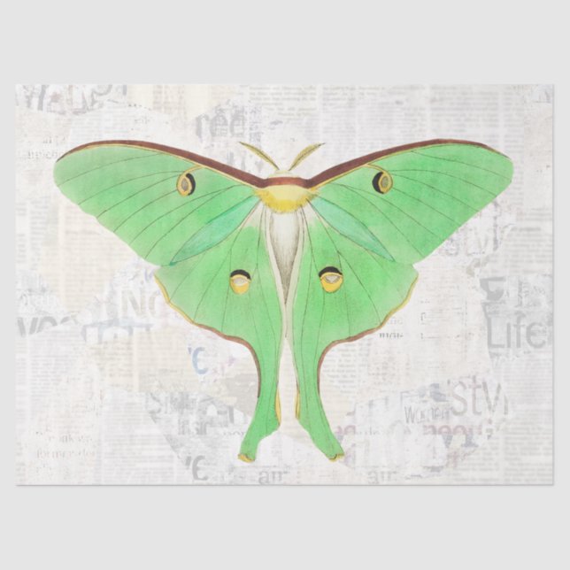 Papier Mousseline Découpage papillon Luna Moth vintage (Recto)