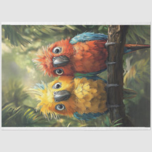 Papier Mousseline Découpage Perroquets de conure fantaisie