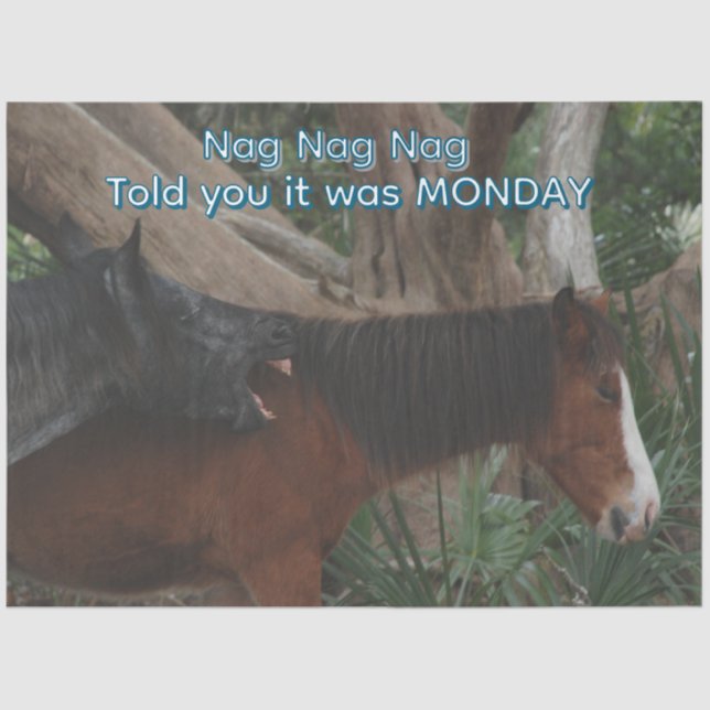 Papier Mousseline Découpage Personnalisable Cheval Humoristique Impr (Recto)