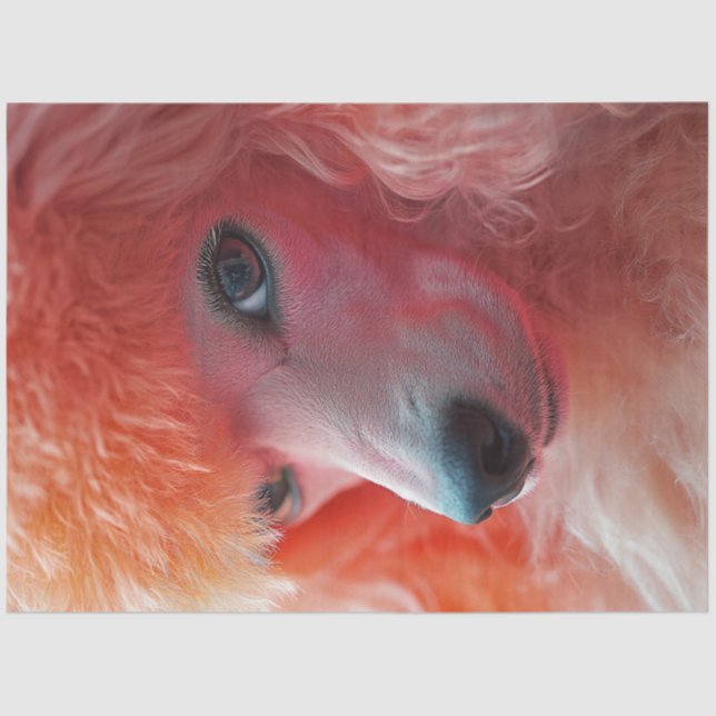 Papier Mousseline Découpage Quimique Pink Hairdo Standard Poodle (Recto)