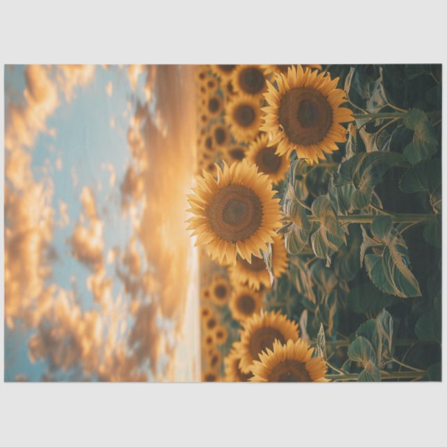 Papier Mousseline Découpage Sunflower Field Sunlight Kiss Sky (Recto)