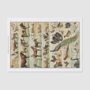 Papier Mousseline Découpage sur les animaux de ferme Vintages