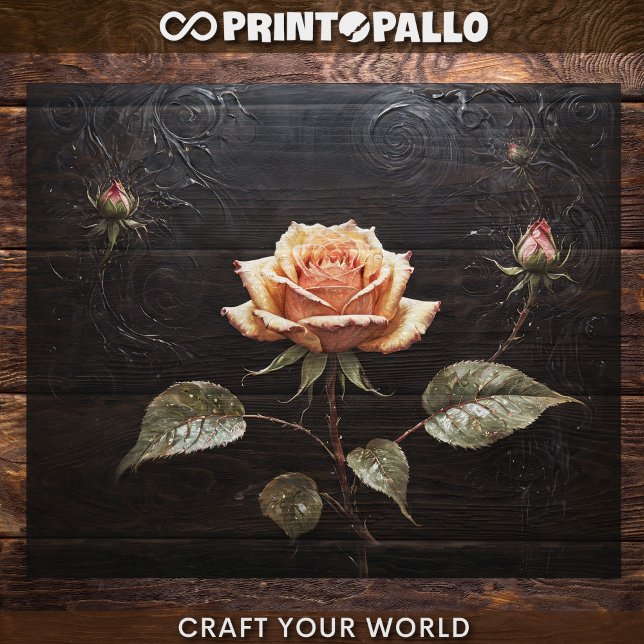 Papier Mousseline Découpage - Une rose rose unique sur fond noir -  (Créateur téléchargé)