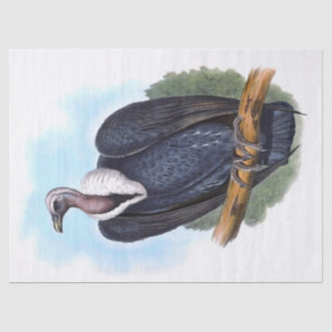 Papier Mousseline Découpage vintage des oiseaux vautours rayés blanc