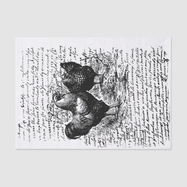 Papier Mousseline Découpage Vintage du coq agricole (Recto)