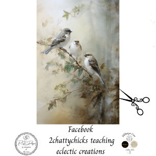 Papier Mousseline Découpage vintage Français Cottage Birds