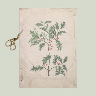 Papier Mousseline Découpage vintage Holly Noël Refroidi vieilli