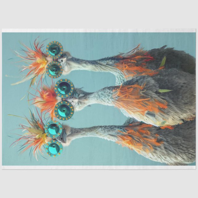 Papier Mousseline Découpage Whimsical Wackadoodle Oiseau Art (Recto)