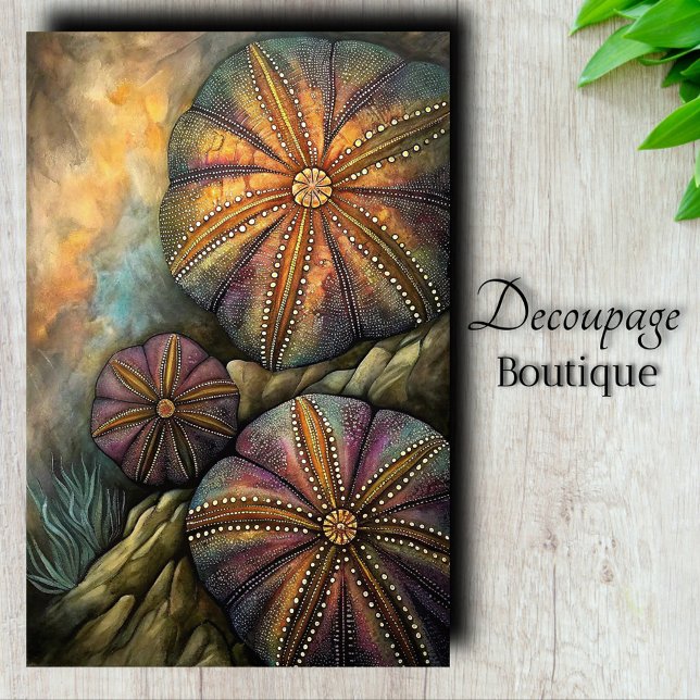 Papier Mousseline Découpe d'oursin (Sea Urchin Decoupage Tissue Paper)