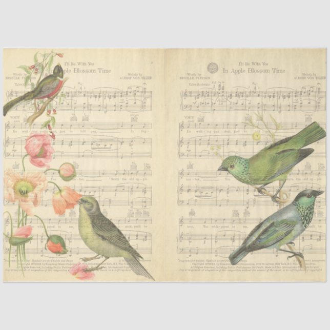 Papier Mousseline Design vintage Bird Series 5 (Recto)