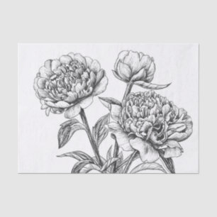 Papier Mousseline Dessin à encre de rose