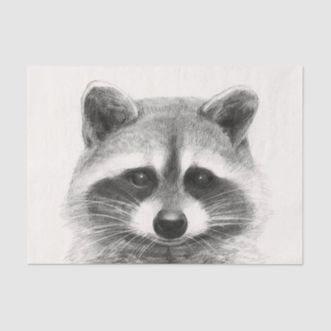 Papier Mousseline Dessin au crayon de Raccoon (Recto)