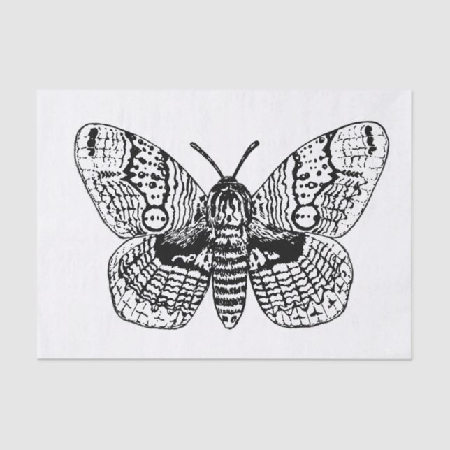 Papier Mousseline Dessin Brahmin moth (Recto)