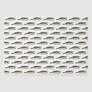 Papier Mousseline Dessin de baleine de style vintage du 19e siècle #