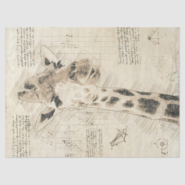 Papier Mousseline Dessin de girafe vintage (Recto)