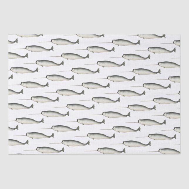 Papier Mousseline Dessin de narval ancien #3 (Recto)
