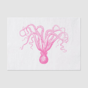 Papier Mousseline Dessin de pieuvre stylisé en couleurs DIY #8 RoseC
