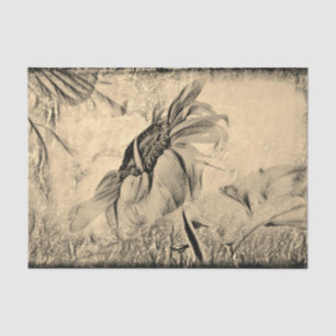 Papier Mousseline Dessin de tournesol Art vintage antique Texture
