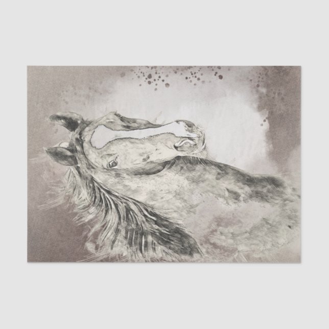 Papier Mousseline Dessin du Cheval Saddlebred américain (Recto)