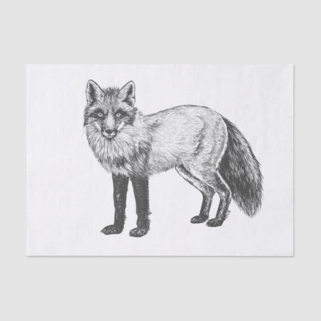 Papier Mousseline Dessin Fox (Recto)