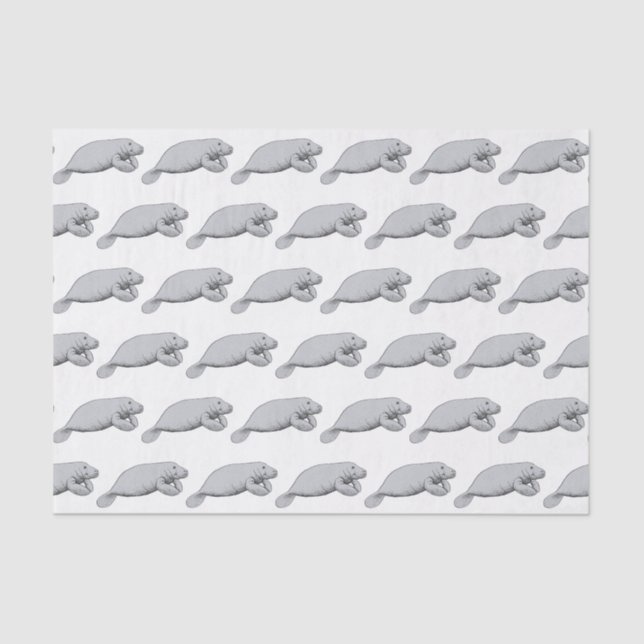 Papier Mousseline Dessin Vintage de Lamantin (Recto)