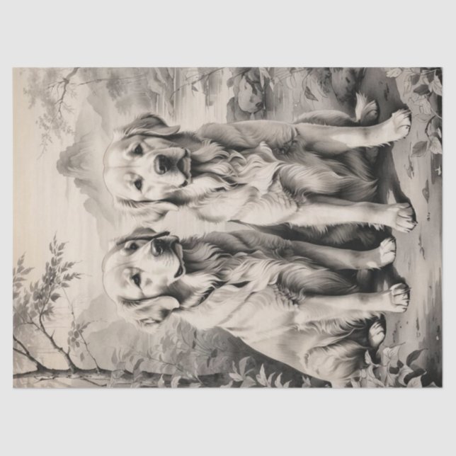 Papier Mousseline Deux Chiens d'or Retriever Portrait papier de tiss (Recto)