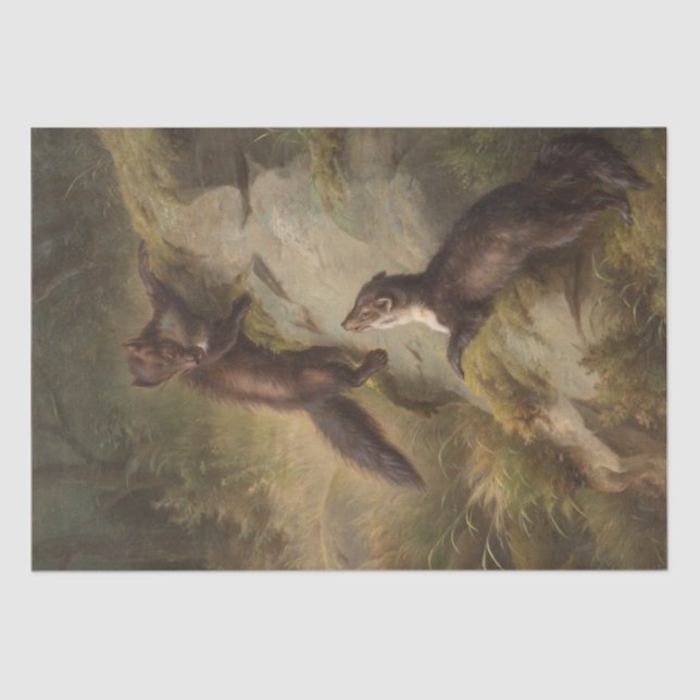 Papier Mousseline Deux Martens sur une pierre dans la forêt (Recto)