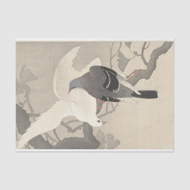 Papier Mousseline Deux pigeons sur une branche par Ohara Koson (Recto)