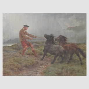 Papier Mousseline Deux Ponts Shetland dans un paysage écossais bruya