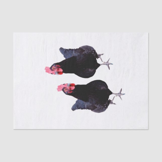Papier Mousseline Deux poulets noirs, (Recto)