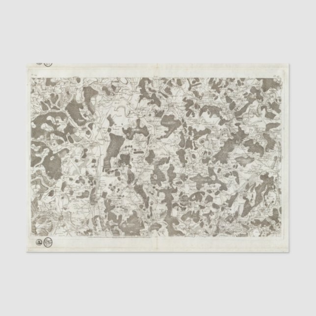 Papier Mousseline Dijon (Recto)