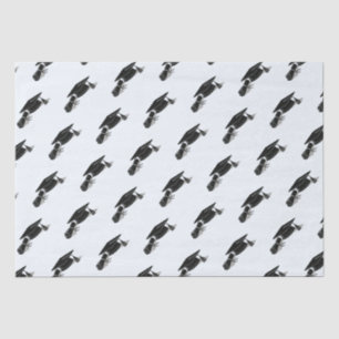 Papier Mousseline Diplôme de Casquette de deuxième cycle (noir)
