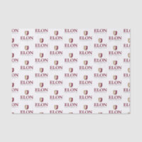 Diplôme de l'Université Elon