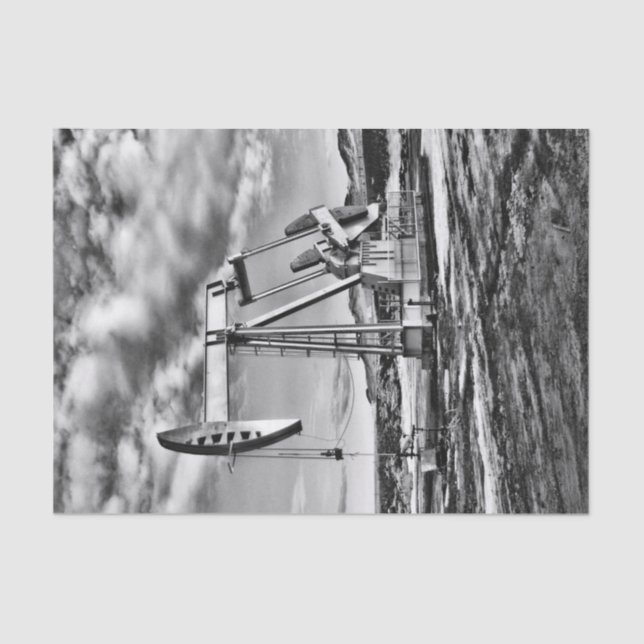 Papier Mousseline Dispositif de pompage noir et blanc de gisement de (Recto)