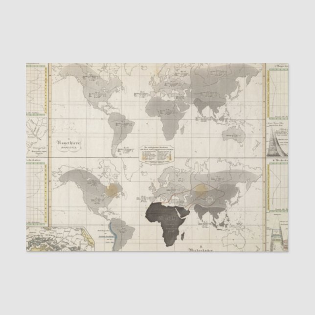 Papier Mousseline Distribution des rongeurs et des animaux (Recto)
