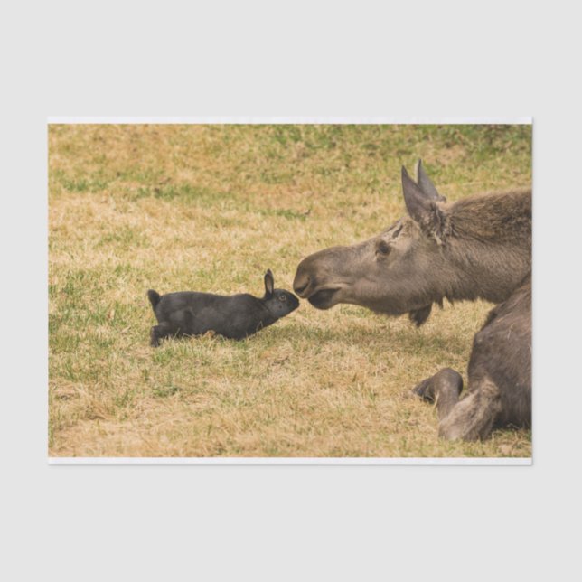 Papier Mousseline Diversité (Recto)