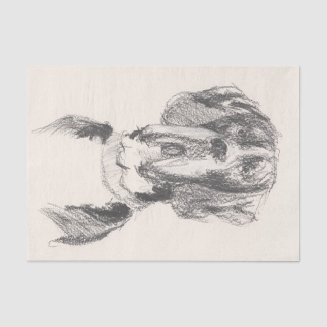 Papier Mousseline Dogue Allemand (Recto)