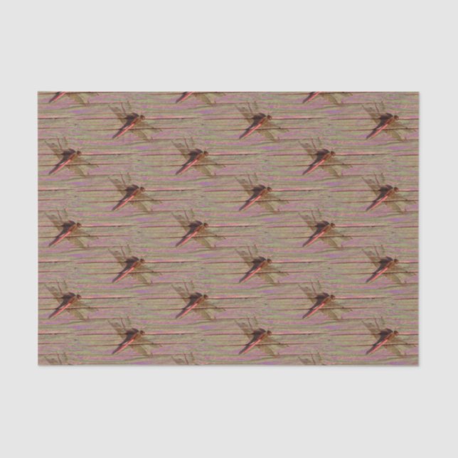 Papier Mousseline Dragonfly (Recto)