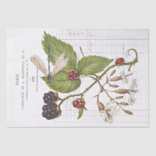 Papier Mousseline Dragonfly Blackberry Ladybug French Vintage Craft