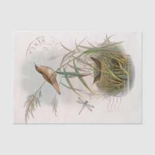 Papier Mousseline Dragonfly de nid d'oiseau Wren French Postmark Dec