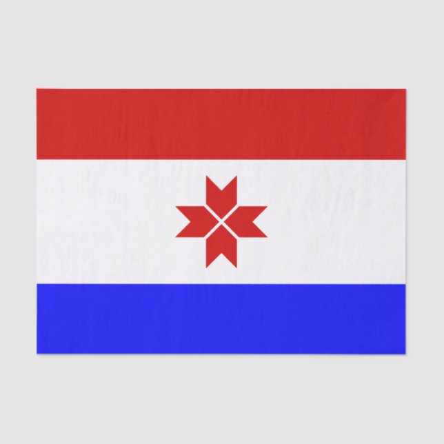 Papier Mousseline Drapeau de la Mordovie (Recto)