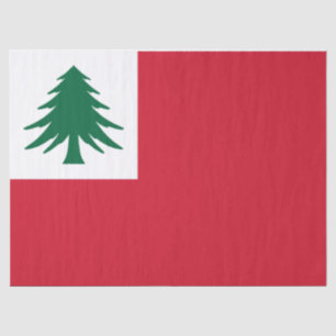 Papier Mousseline Drapeau de la Nouvelle-Angleterre