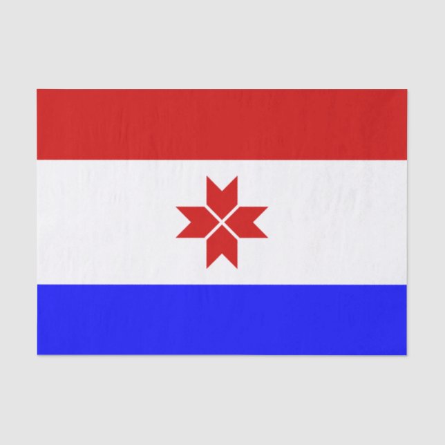 Papier Mousseline Drapeau de Mordovie (Recto)