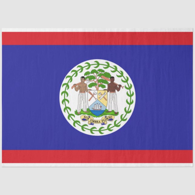 Papier Mousseline Drapeau du Belize (Recto)