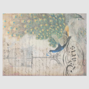 Papier Mousseline Droite de papier de Decoupage d'éphémères de paon