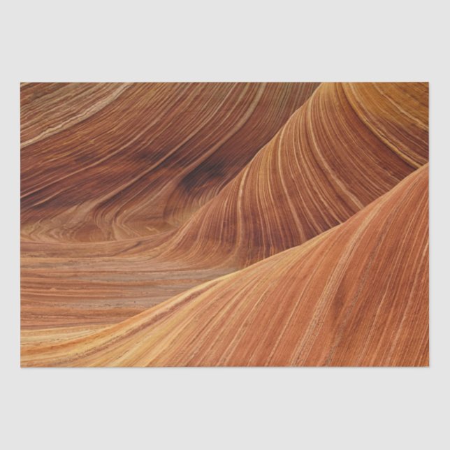 Papier Mousseline Dunes De Sable (Recto)