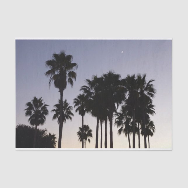 Papier Mousseline Dusk avec palmiers Scène tropicale (Recto)