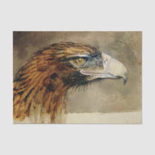 Papier Mousseline Eagle's Head (par John Ruskin)